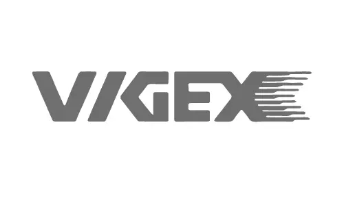 VIGEX-01